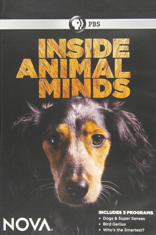 Inside Animal Minds