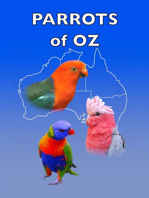 Parrots of Oz