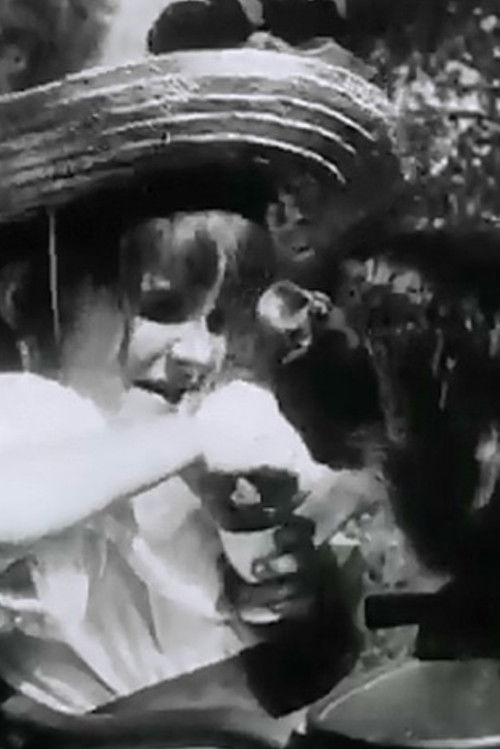 The Little Girl and Her Cat