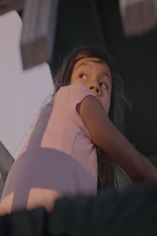 Dogwood (Sipinikimm)