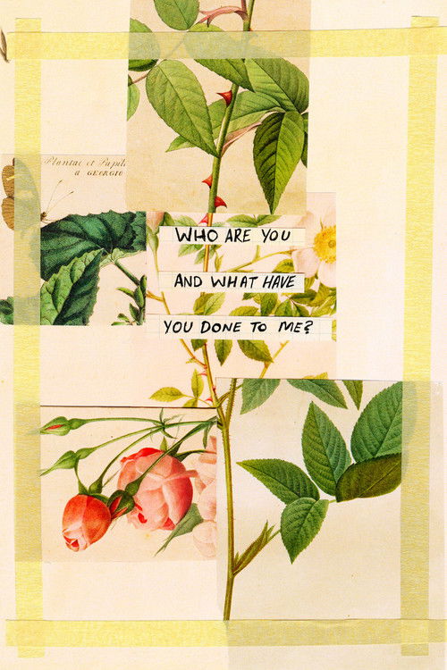 Who Are You and What Have You Done To Me?