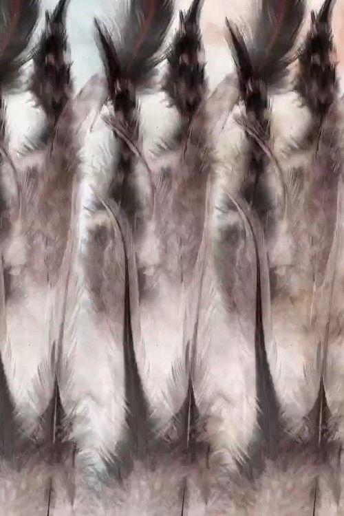 The Anatomy of a Feather