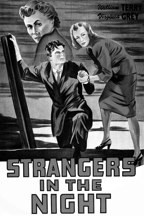 Strangers in the Night