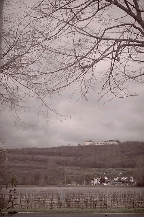 The Road, Chapter 1: Winter