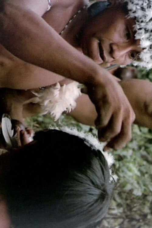 Iniciación de un shamán