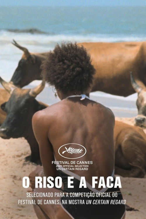 I Only Rest in the Storm