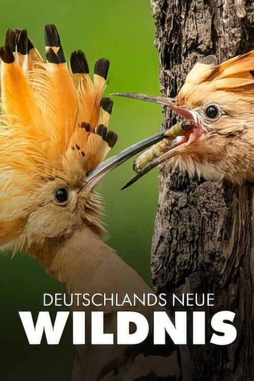 Deutschlands neue Wildnis