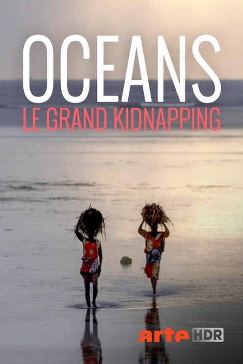 Wem gehört das Meer? Ocean Grabbing - Die neue Meeresordnung