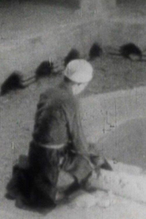 From Isfahan to Abarkooh