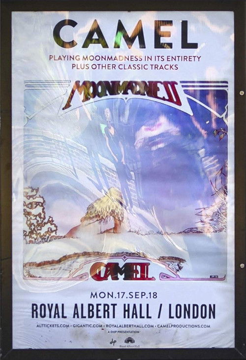 Camel: Live at the Royal Albert Hall