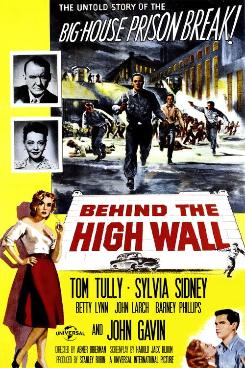 Behind the High Wall