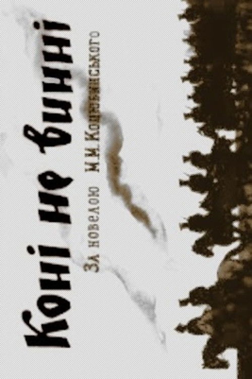 The Horses Are Not Guilty