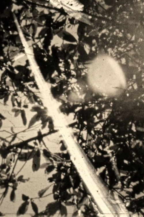 Ephemeral light season of things