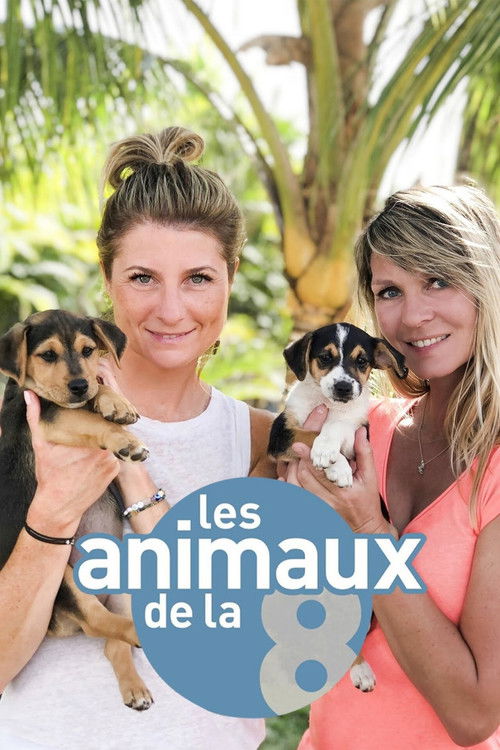 Les animaux de la 8