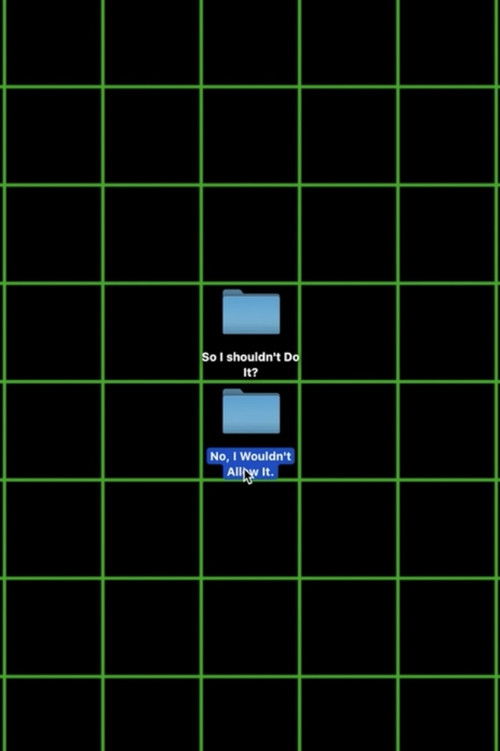 No, I Wouldn't Allow It