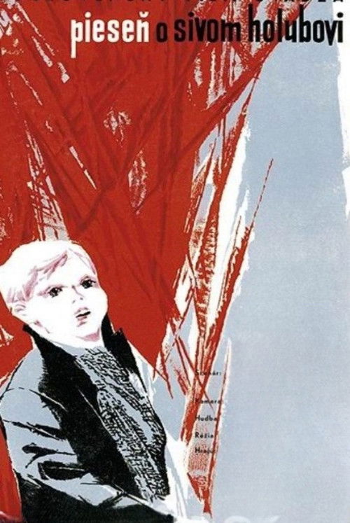 The Song of the Grey Pigeon