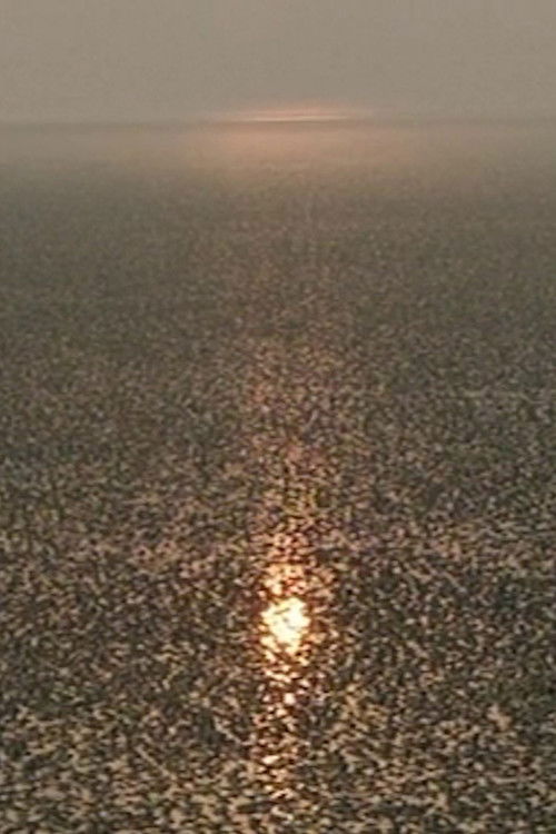 Back to the Elements