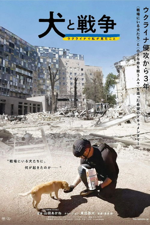 Dogs and War: What I saw in Ukraine