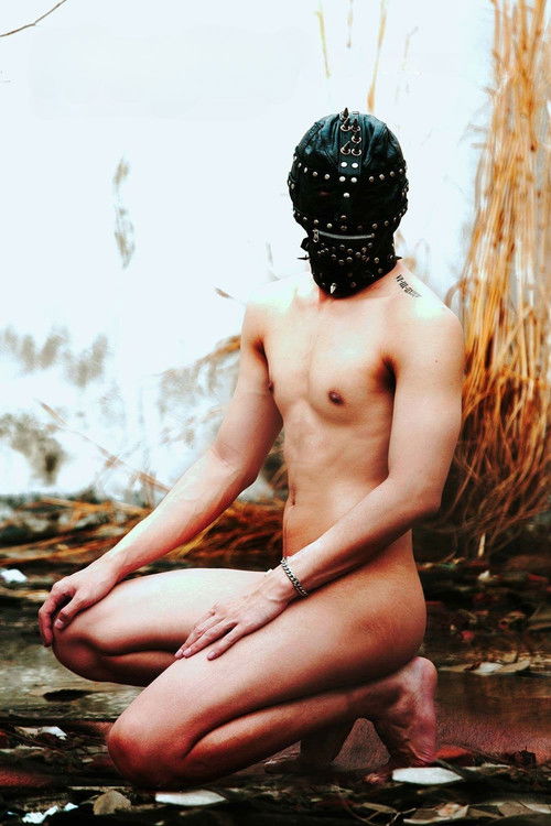 PlayBoy (and the Gang of Cherry)