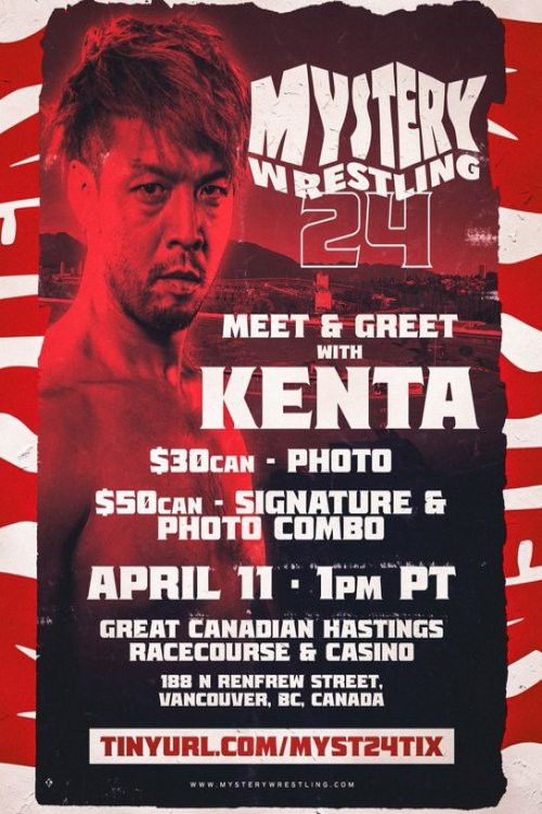 Mystery Wrestling #24