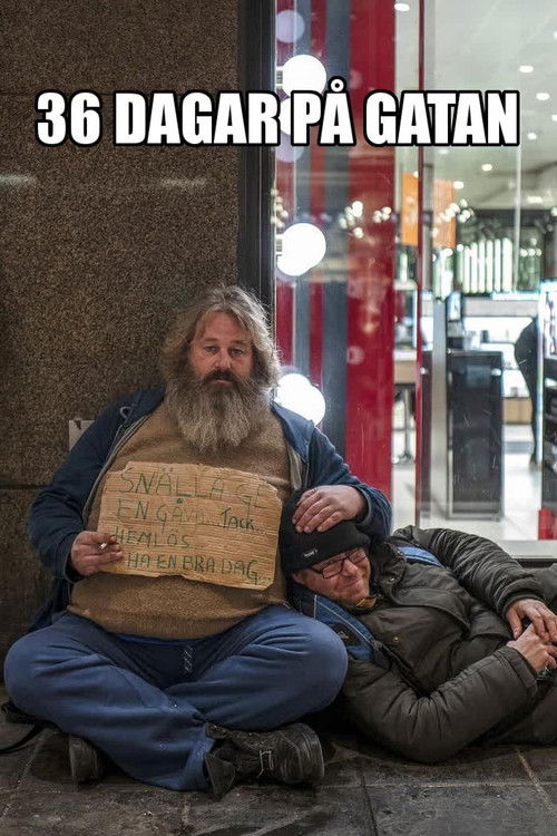 36 Days on the Street