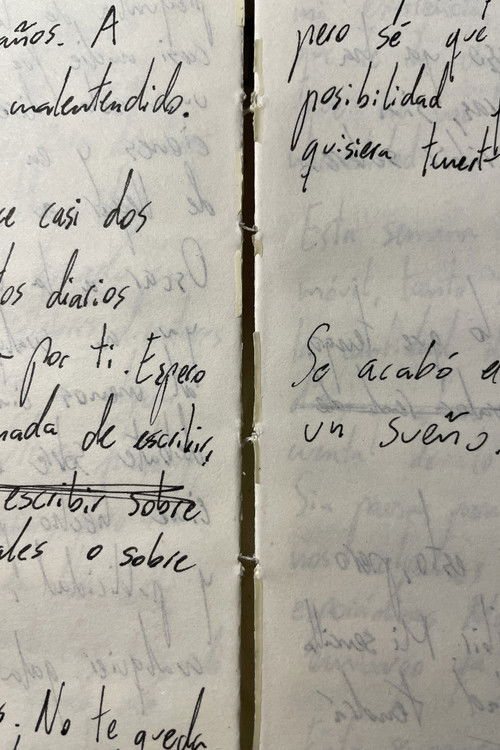 Releyendo mi diario (Autorretrato)