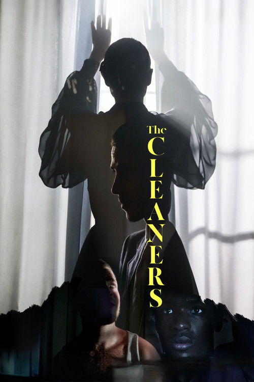 The Cleaners