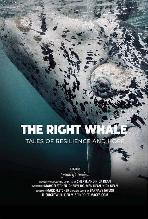 The Right Whale