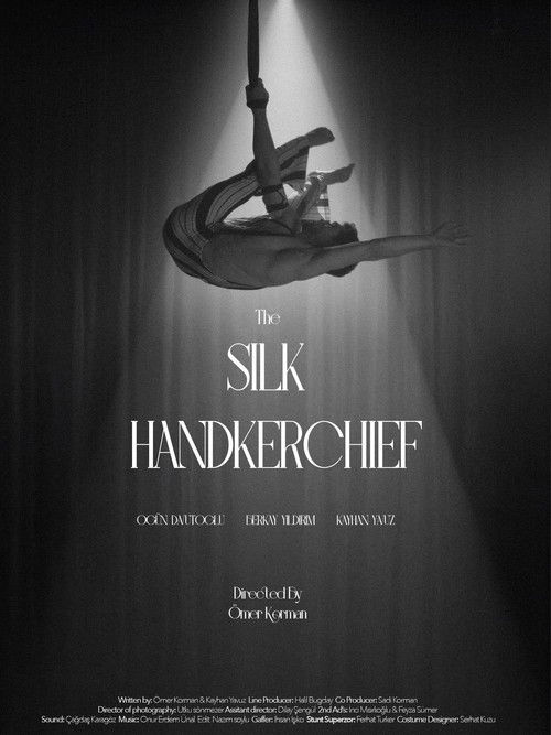The Silk Handkerchief