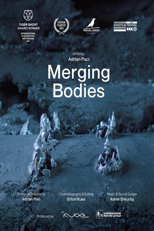 Merging Bodies