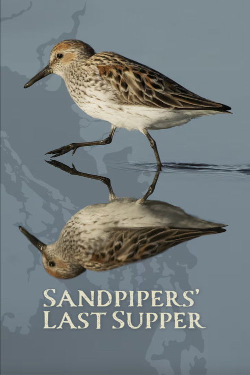 Sandpipers' Last Supper