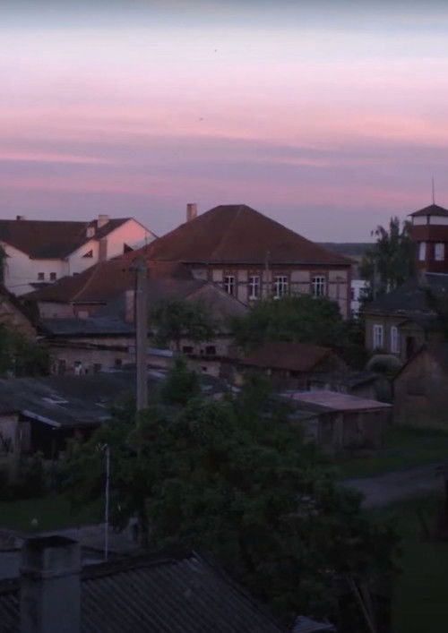 Peafowls Flew Away and Took My Thoughts With Them