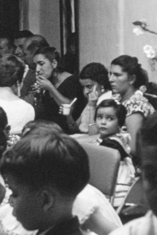 The Night of the Minotaur