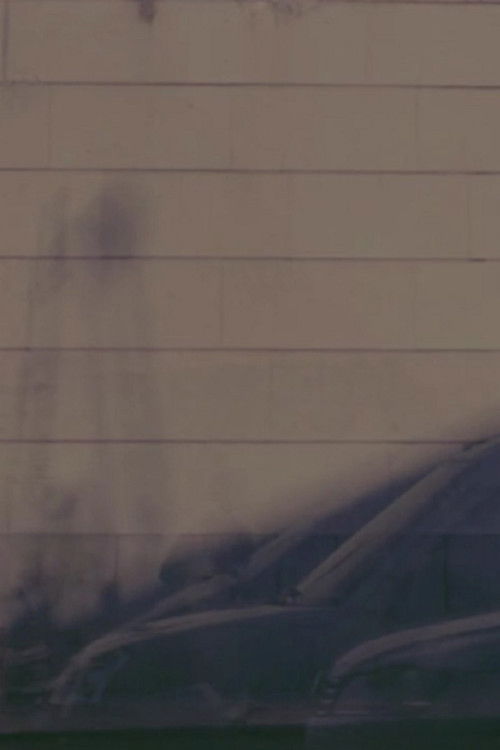 The Captured Light of an Instant