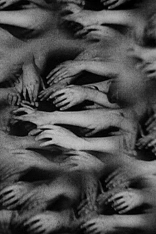 Hands: The Life and Loves of the Gentler Sex