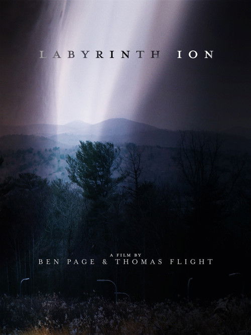 Labyrinth Ion