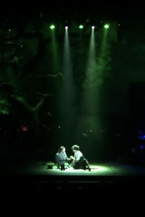 Spring Awakening: Filmed Live on Astral Theater
