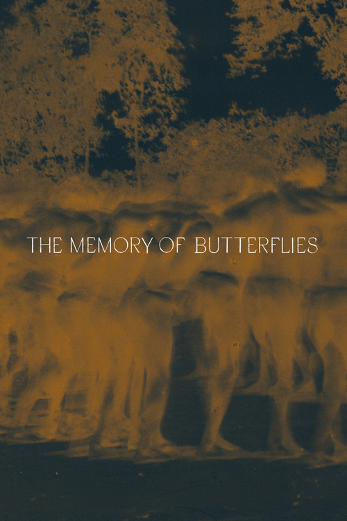 The Memory of Butterflies