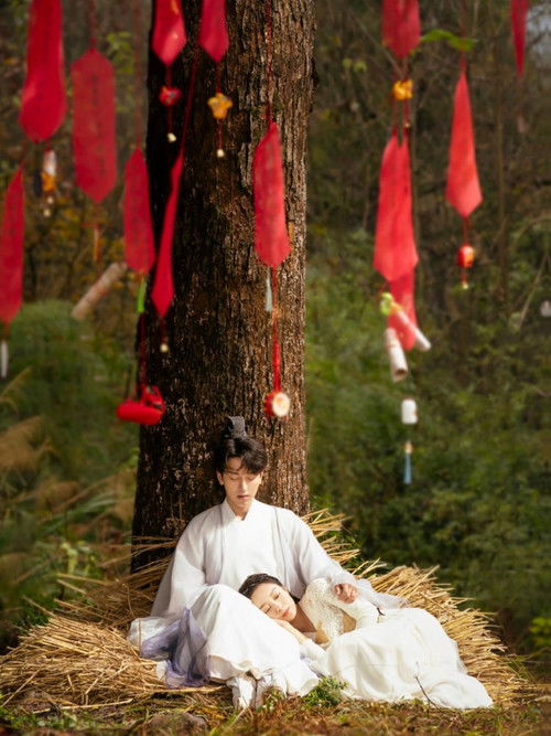 Fall in Love with a Fox