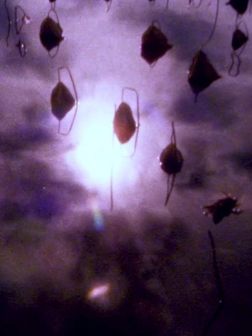 Hiroshima - Nagasaki