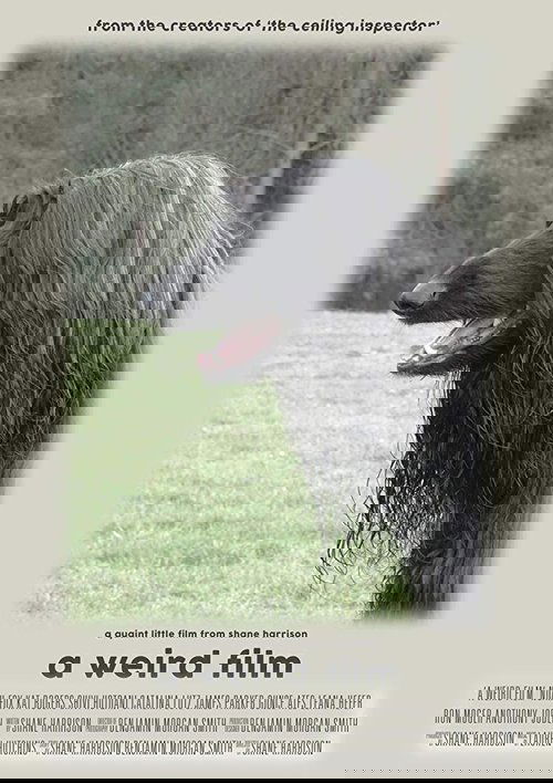 A Weird Film