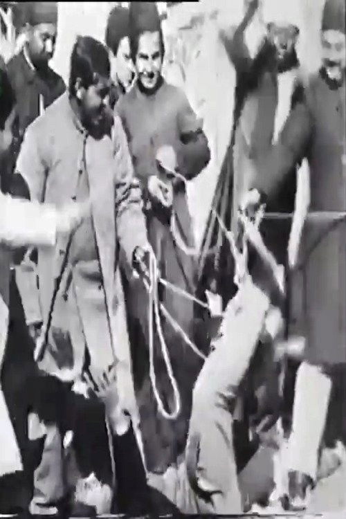 Clowns Comedy Perfomance in the Palace