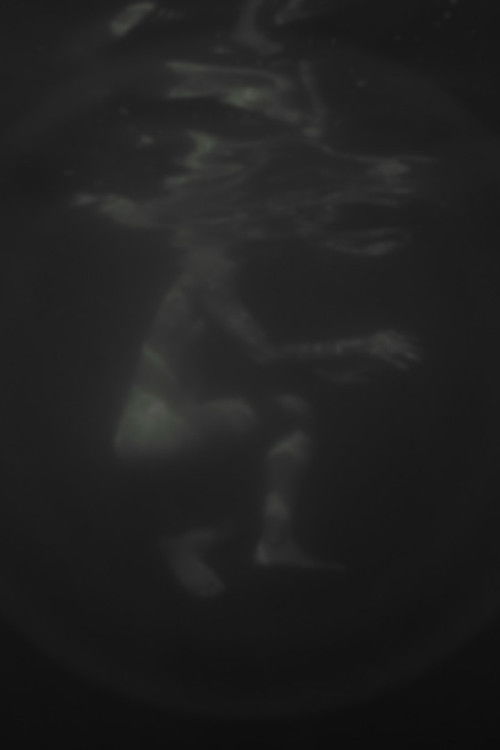 Hazug disznók az álmok is