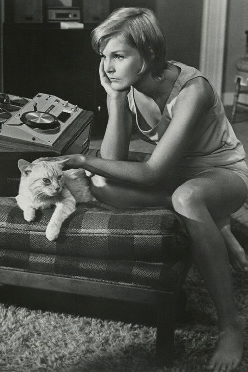 Once You Kiss a Stranger...