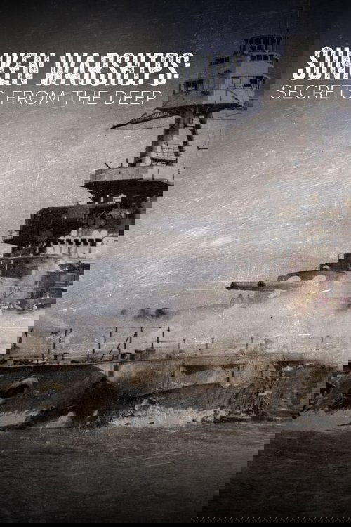 Hadihajók hullámsírban