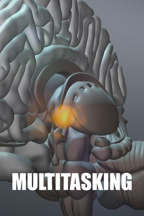 Multitasking – How Much Can We Do Simultaneously?
