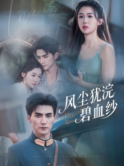 风尘犹浣碧血纱