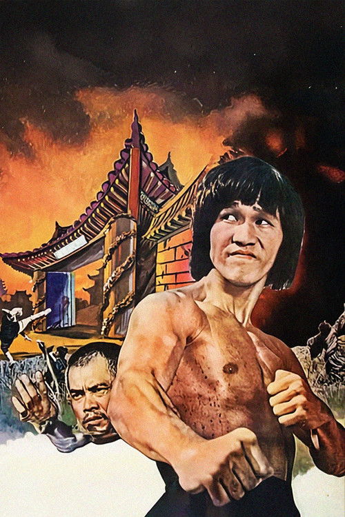 Bruce and Shaolin Kung Fu Part 2