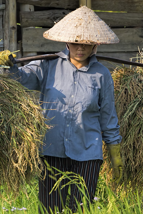 Geheimnisse Asiens - Die schönsten Nationalparks