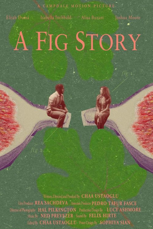 A Fig Story